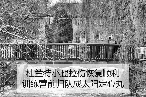 du-lan-te-xiao-tui-la-shang-hui-fu-shun-li-xun-lian-ying-qian-gui-dui-cheng-tai-yang-ding-xin-wan-2-265.jpg